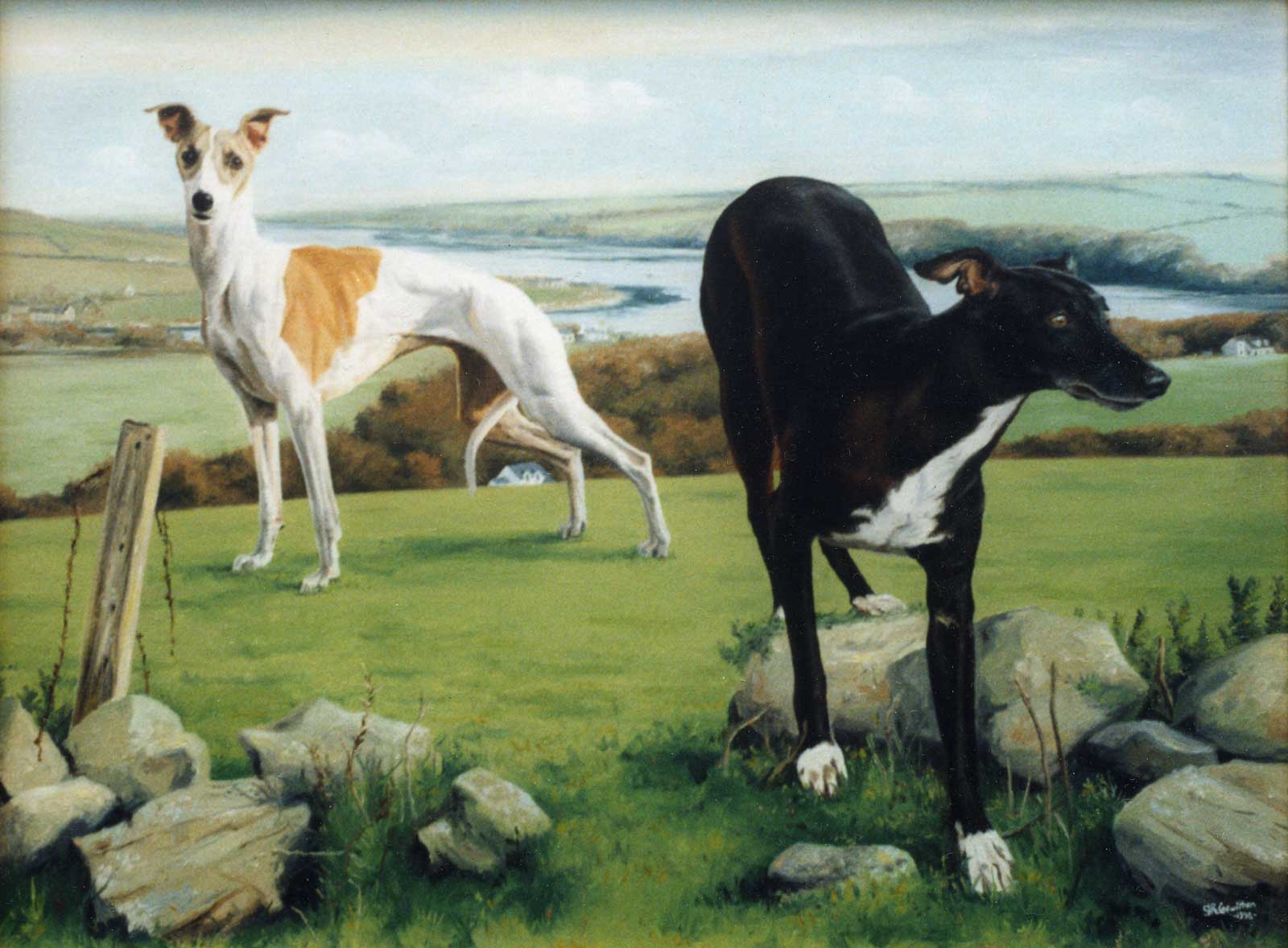 Whippet and Lurcher dog portraits in Pembroke landscape oil painting on canvas