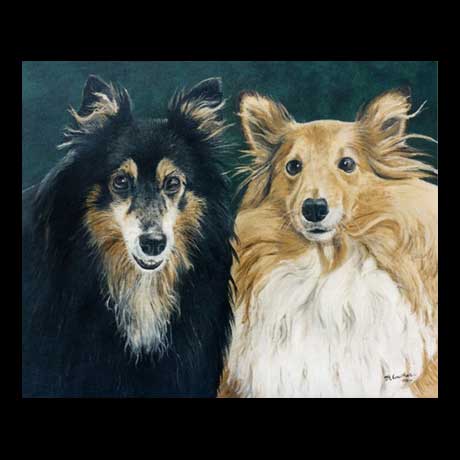 Sheltie dogs portrait painting, oil paint on canvas