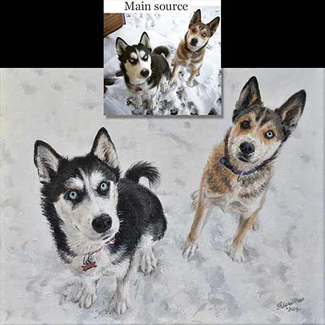 Huskies dog portrait 1, oil paint on canvas