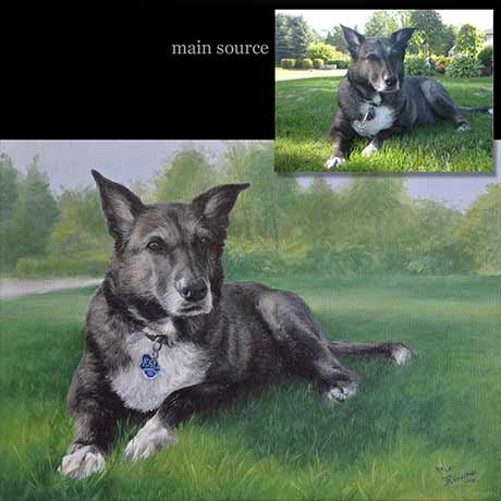 Husky portrait 2, oil paint on canvas