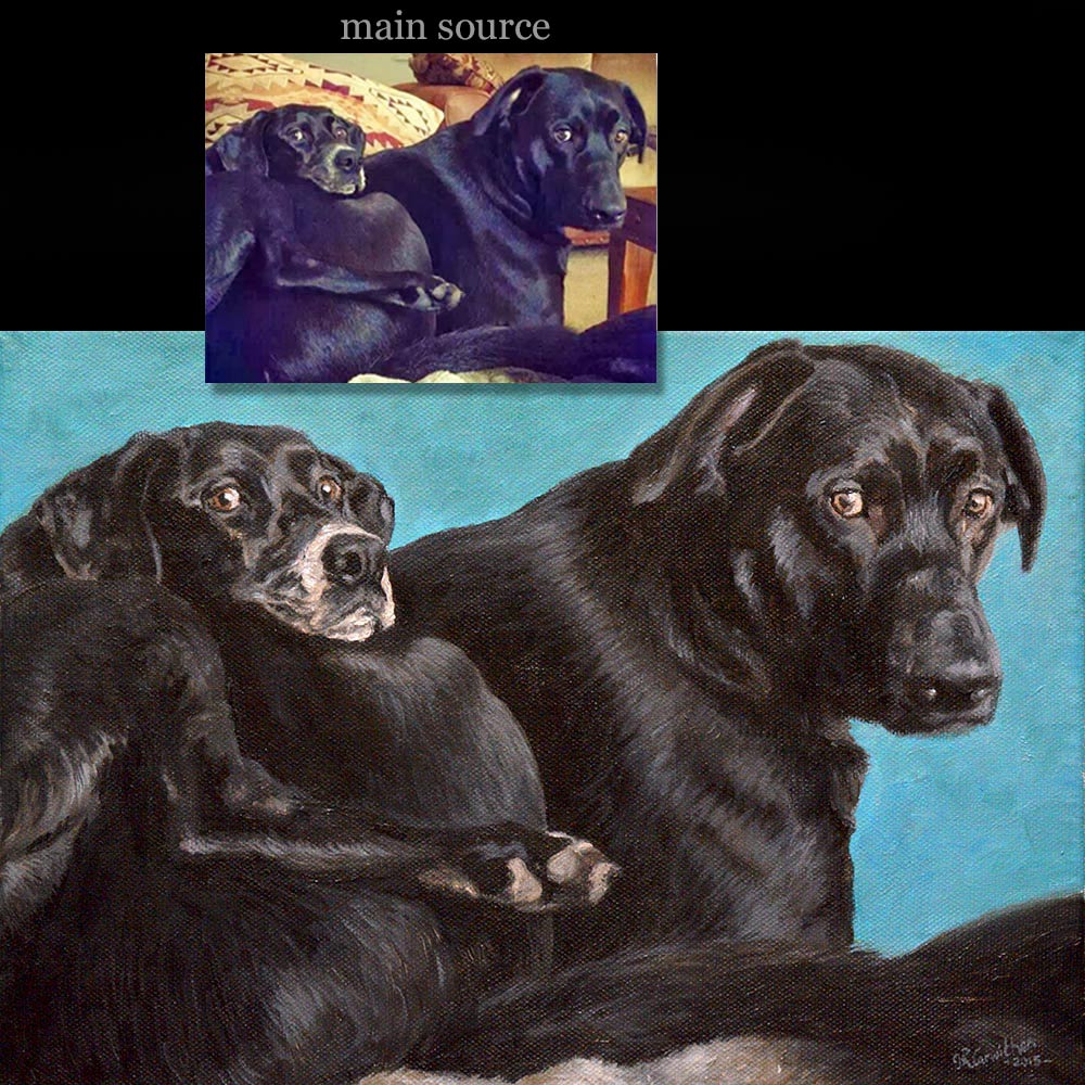 Labradors portrait painting 1 - oils on canvas