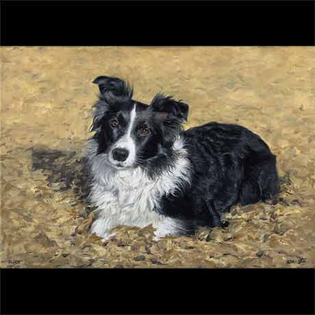 Sheepdog portrait painting dog 1