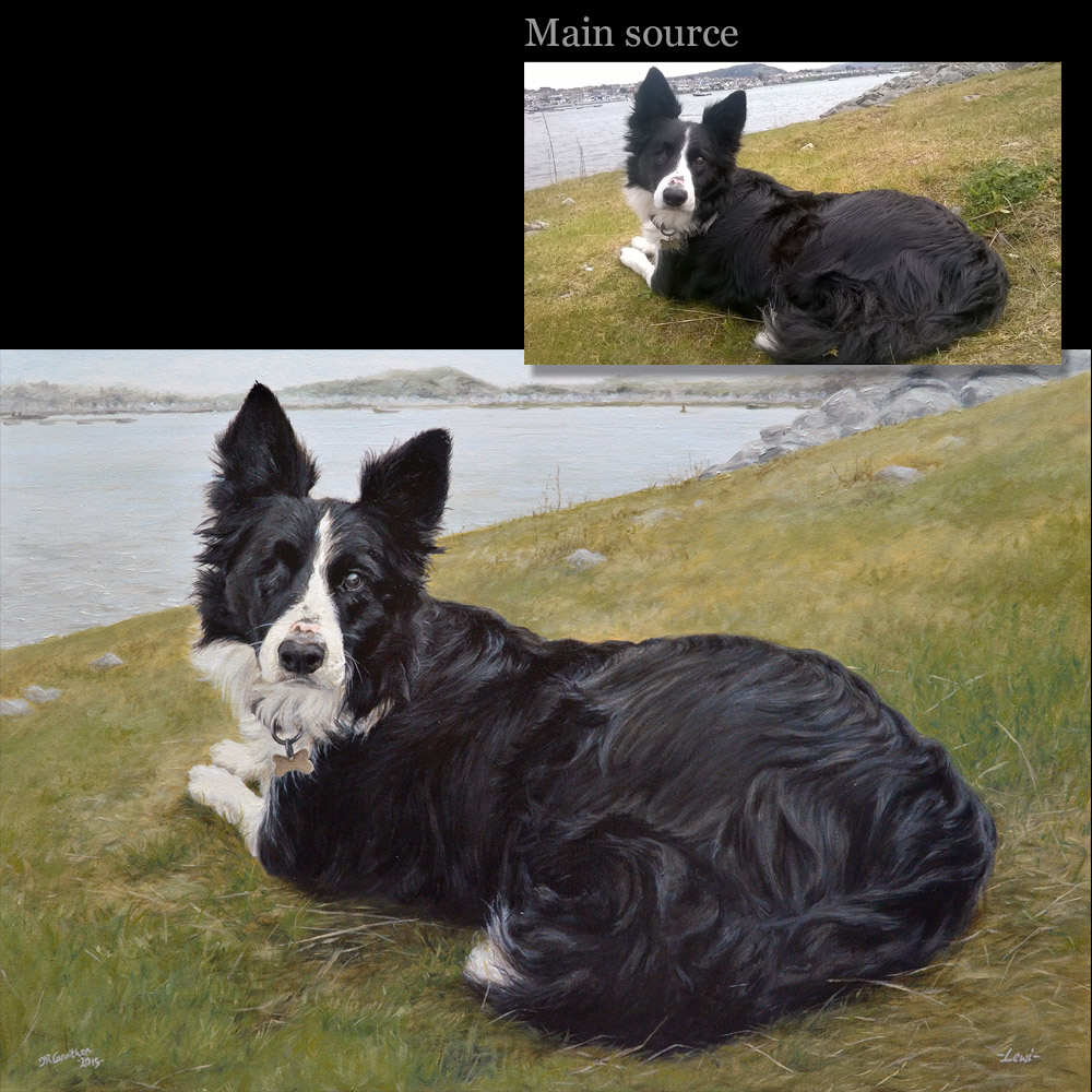 Sheepdog portrait 2 oil painting on canvas