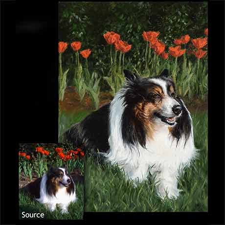 Sheltie dog portrait painting 1 - oils on canvas