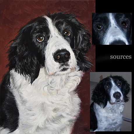 Spaniel dog portrait painting 1 - oils on canvas