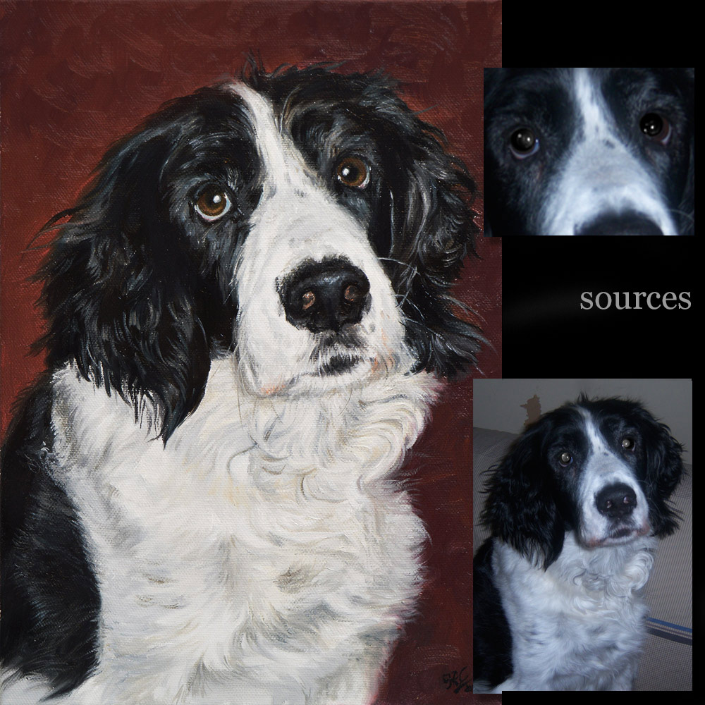 Pointer dog portrait painting 1 - oils on canvas