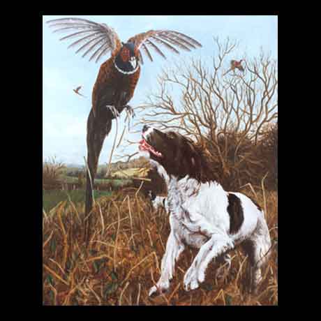 Springer Spaniel dog hunting painting, oil paint on canvas