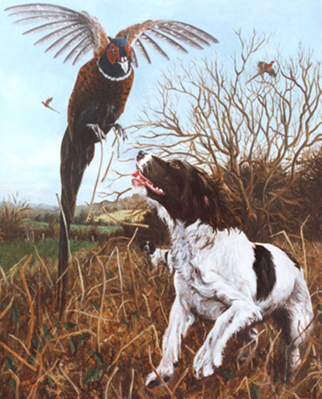 Springer best sale spaniel painting