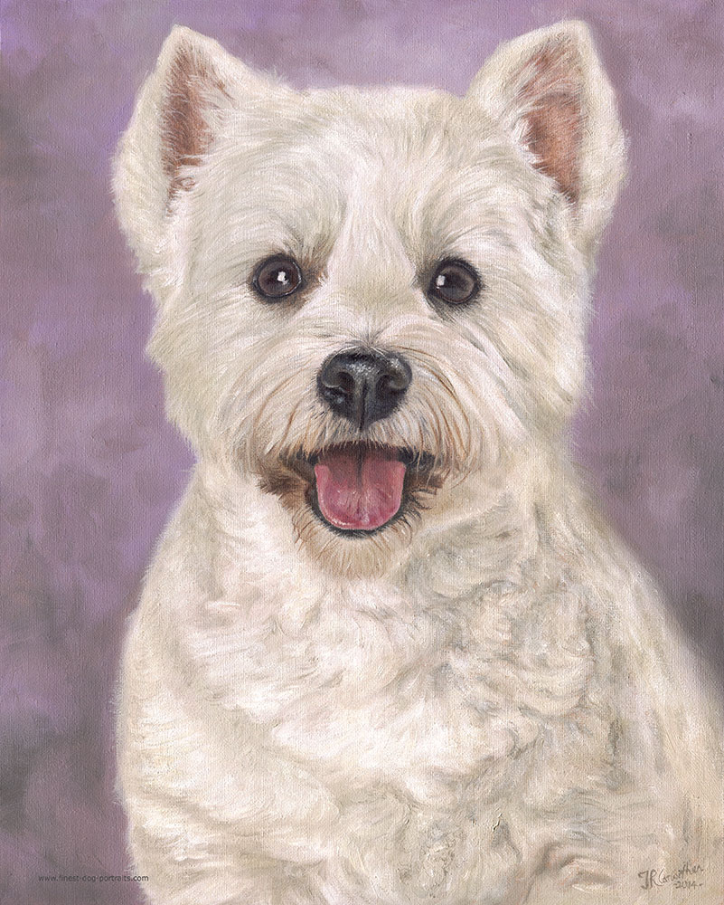 Westie dog portrait painting 1 - oils on canvas