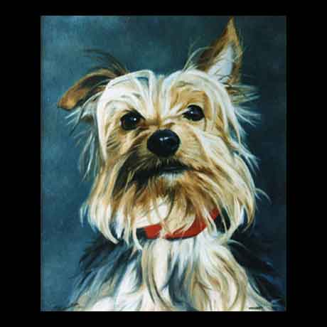 Yorkshire Terrier dog portrait painting, oil paint on canvas