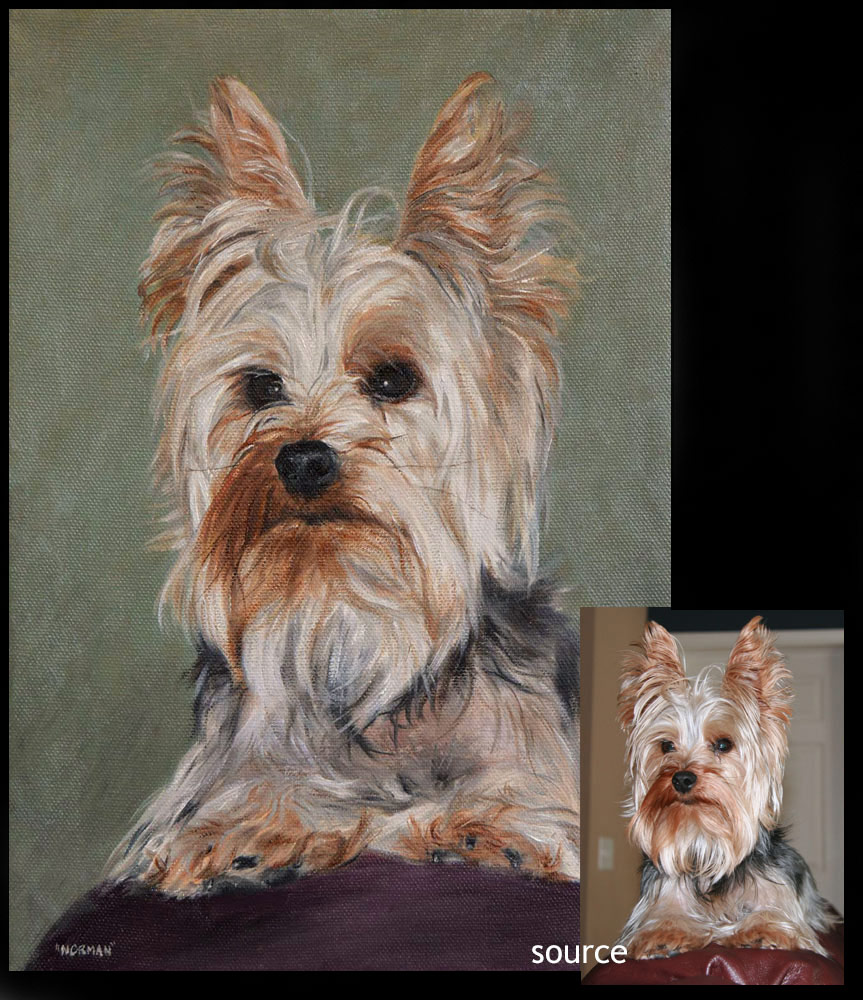 Yorkshire terrier dog portrait 2 - oils on canvas