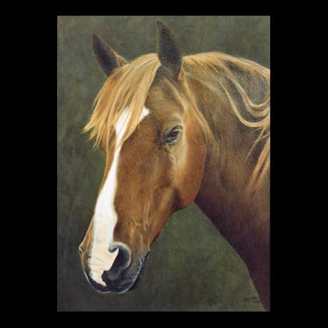 Horse Equine oil painting on canvas