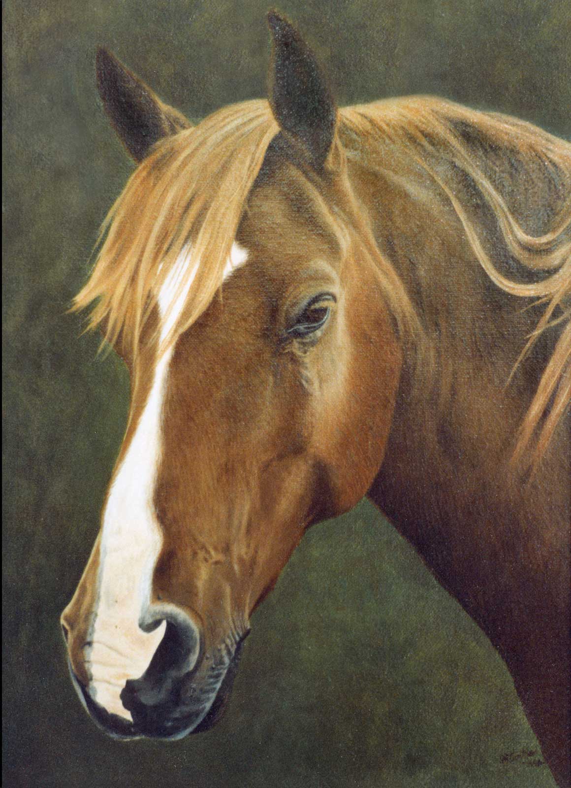 Horse portrait oil painting on canvas