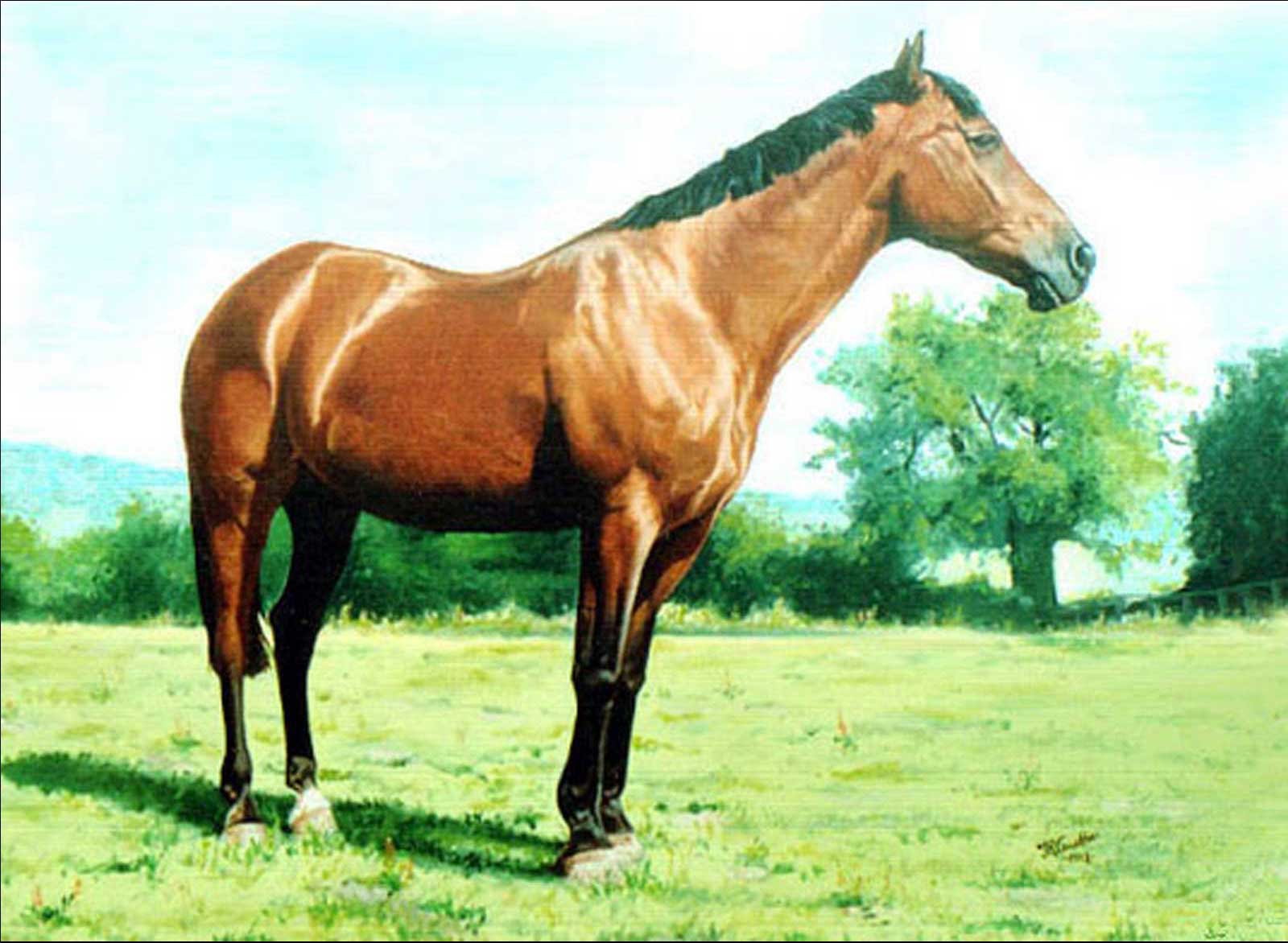 Racing horse portrait painting oil paint on canvas