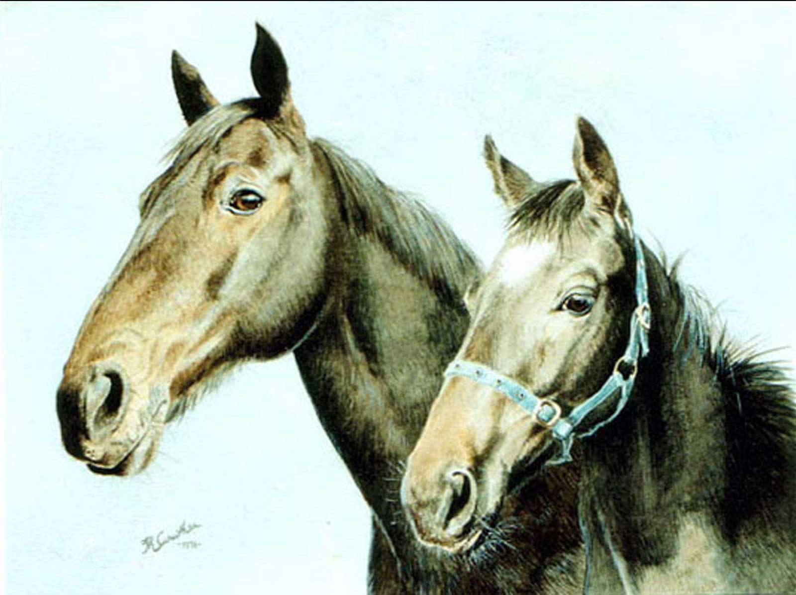 Horses painting