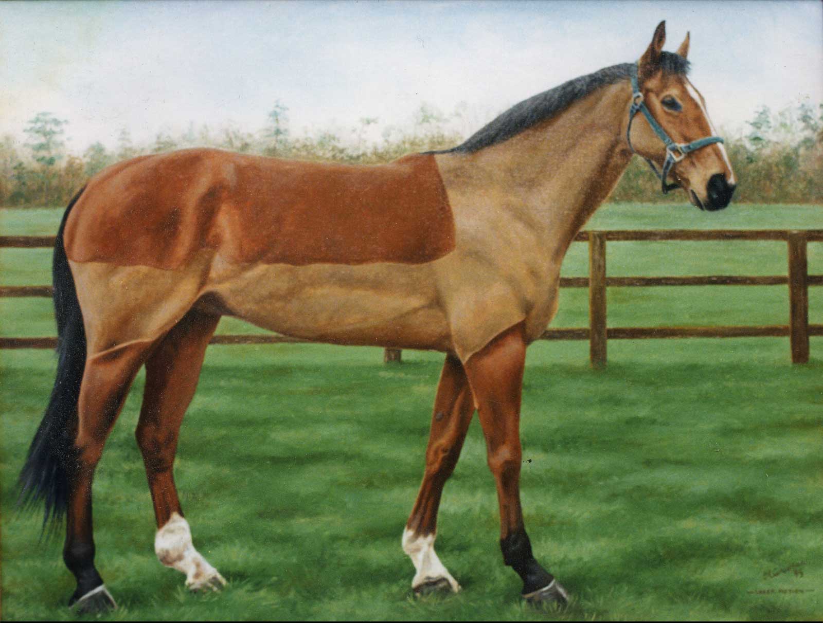 Race horse portrait painting oil paint on canvas