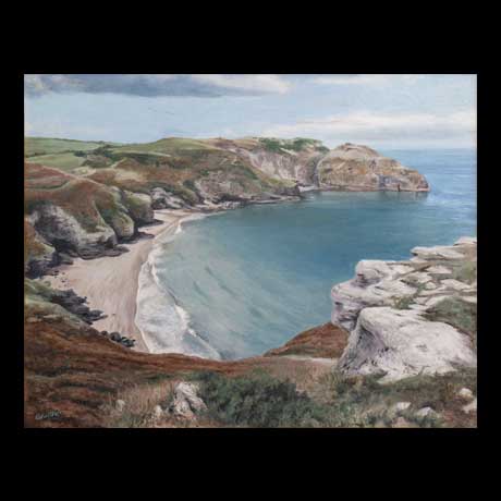 Bossiney, Cornwall  landscape painting oil paint on canvas