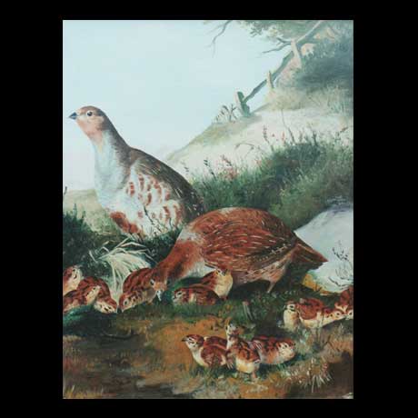 Partridges painting, oil paint on canvas