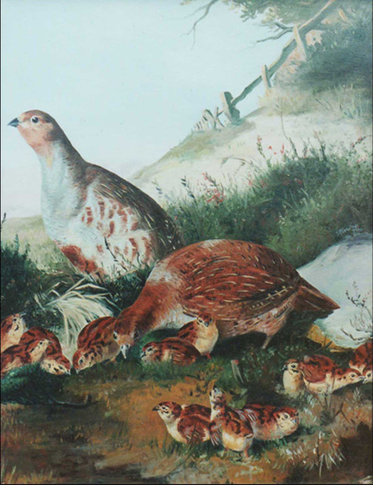 Partridges, oil painting on canvas